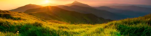 Learn the story behind OneAscent’s founding and our mission to help believers align finances with values.